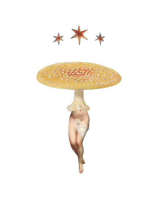 Yellow Amanita Star print