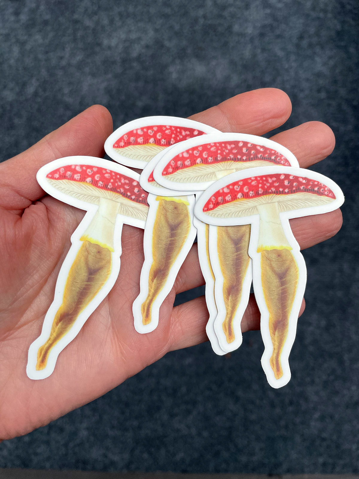 Amanita Gal sticker