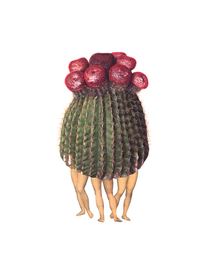 Three Graces (Cactus) print