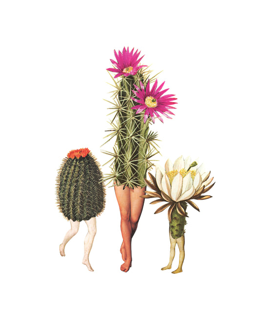 The Cacti print