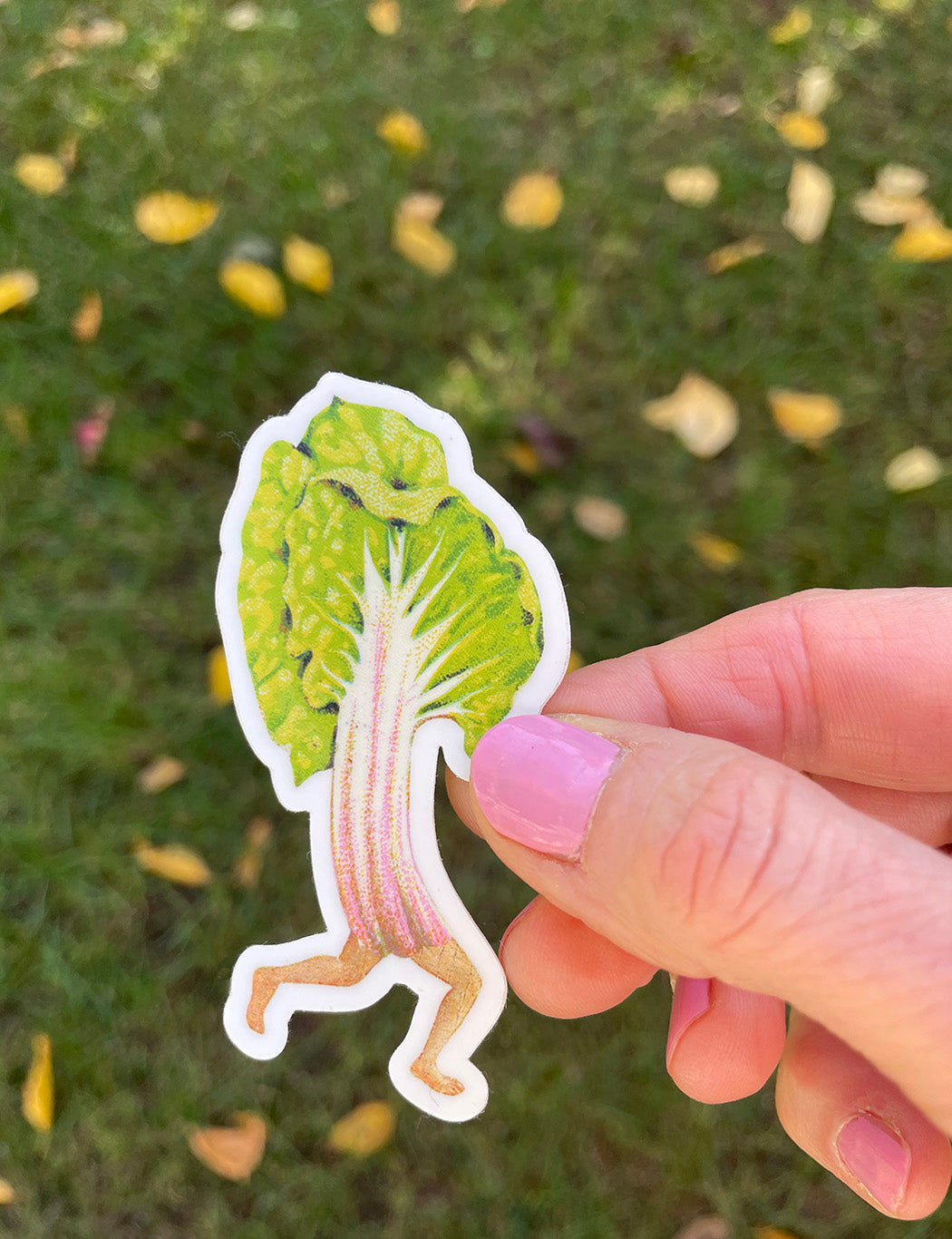 Chard Guy sticker