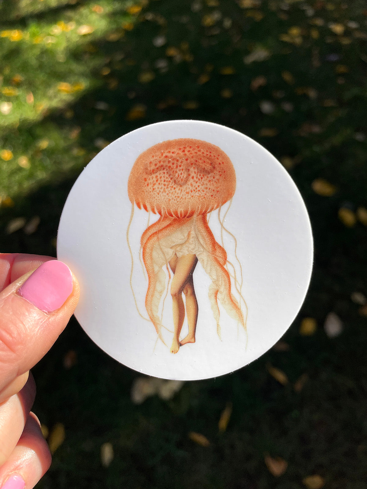 Jellyfish sticker
