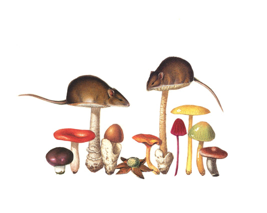 Mouseshrooms print