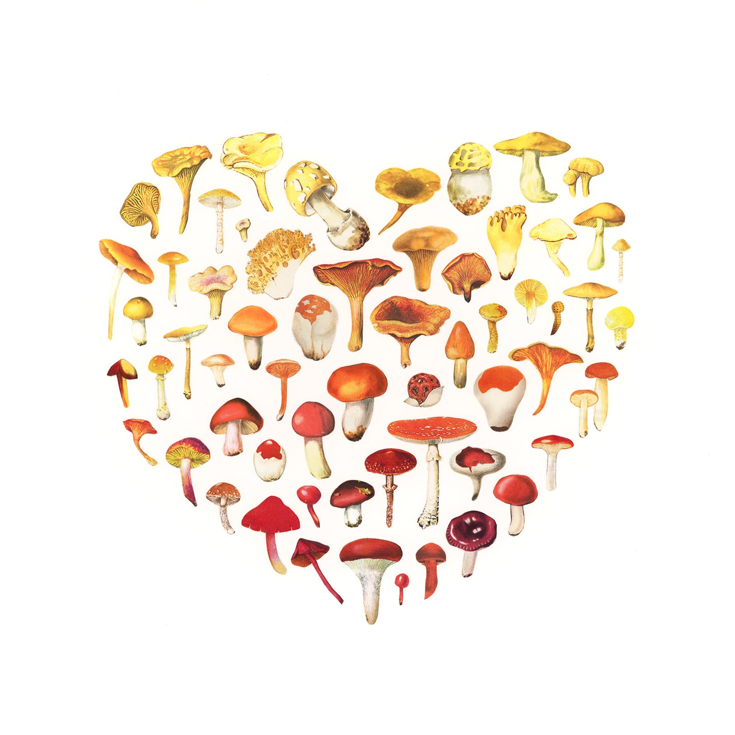 Mushroom Love print