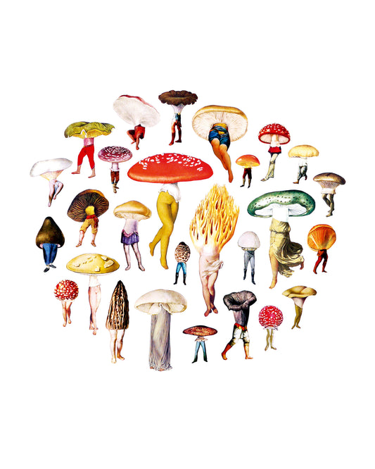 Mushroom Patch #1 print
