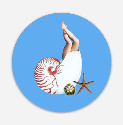 Blue Nautilus sticker