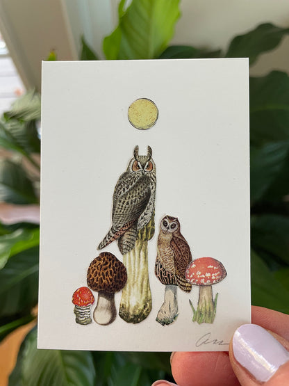 Owl Morels collage