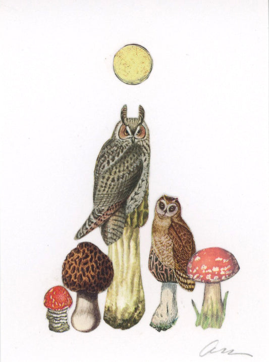 Owl Morels collage