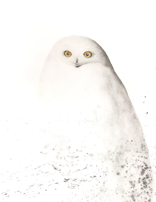 Owl Spirit print