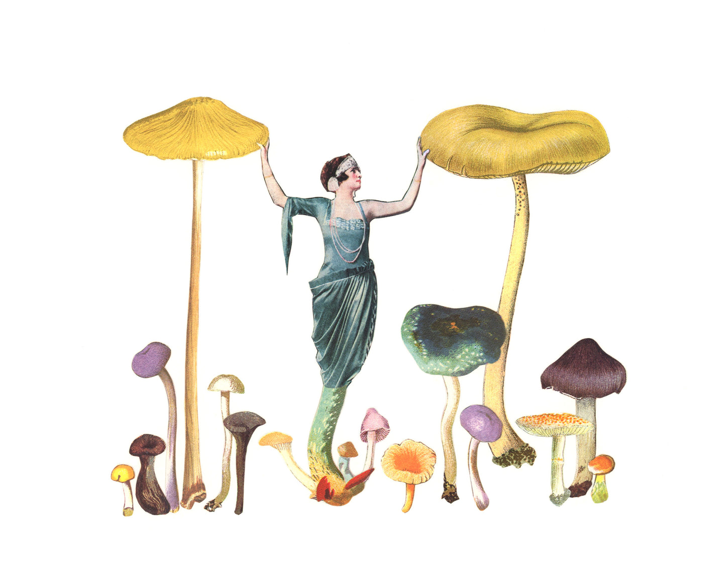 Queen of the Shrooms print