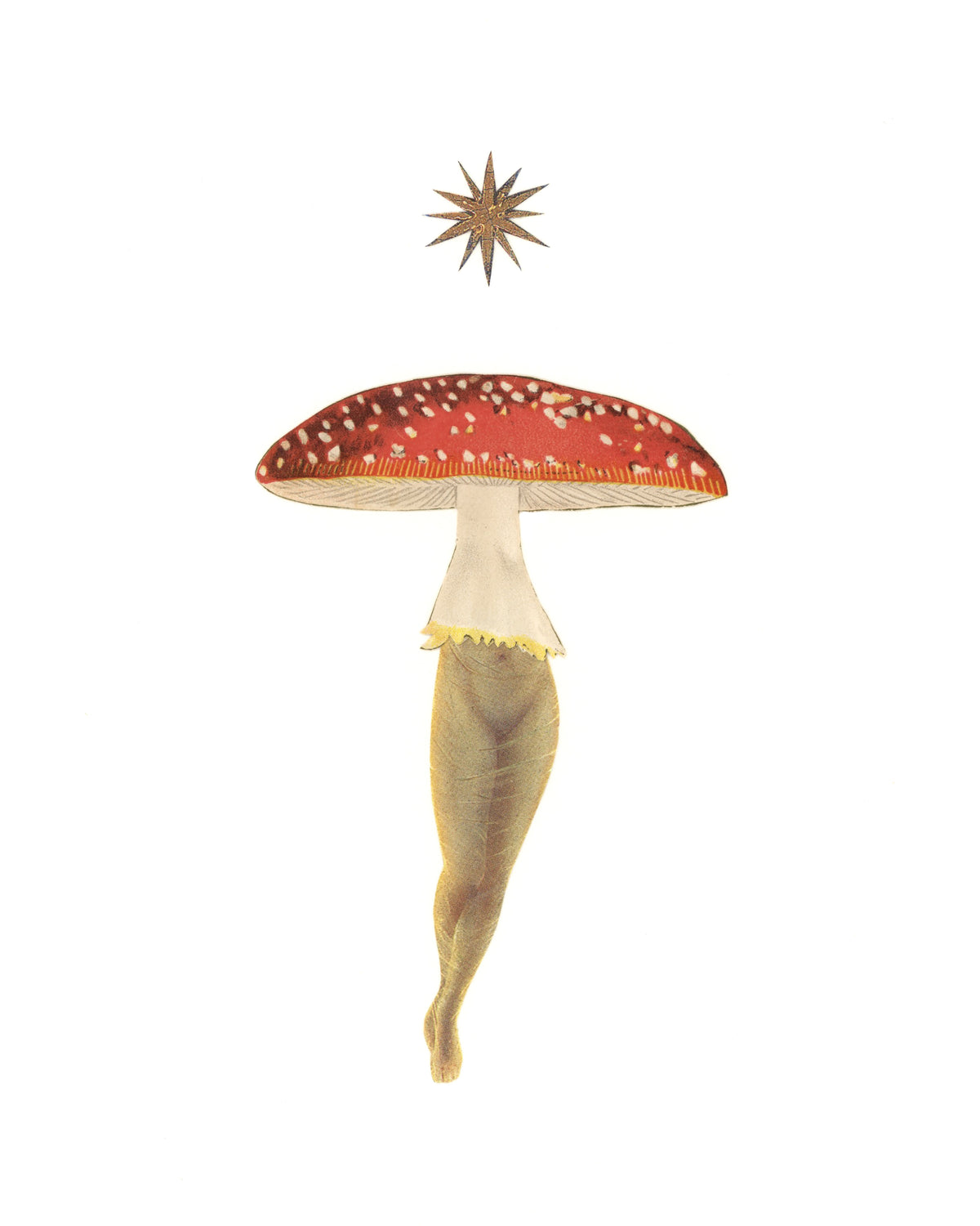 Red Amanita Star print