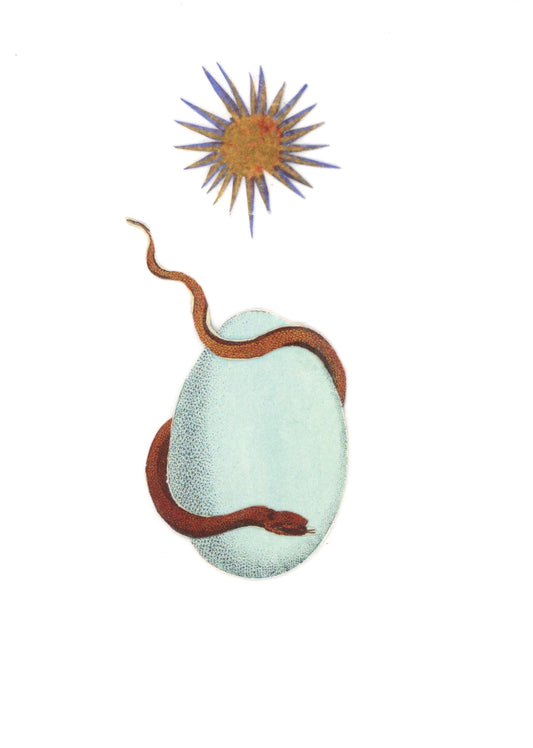 Orphic Egg #9 collage