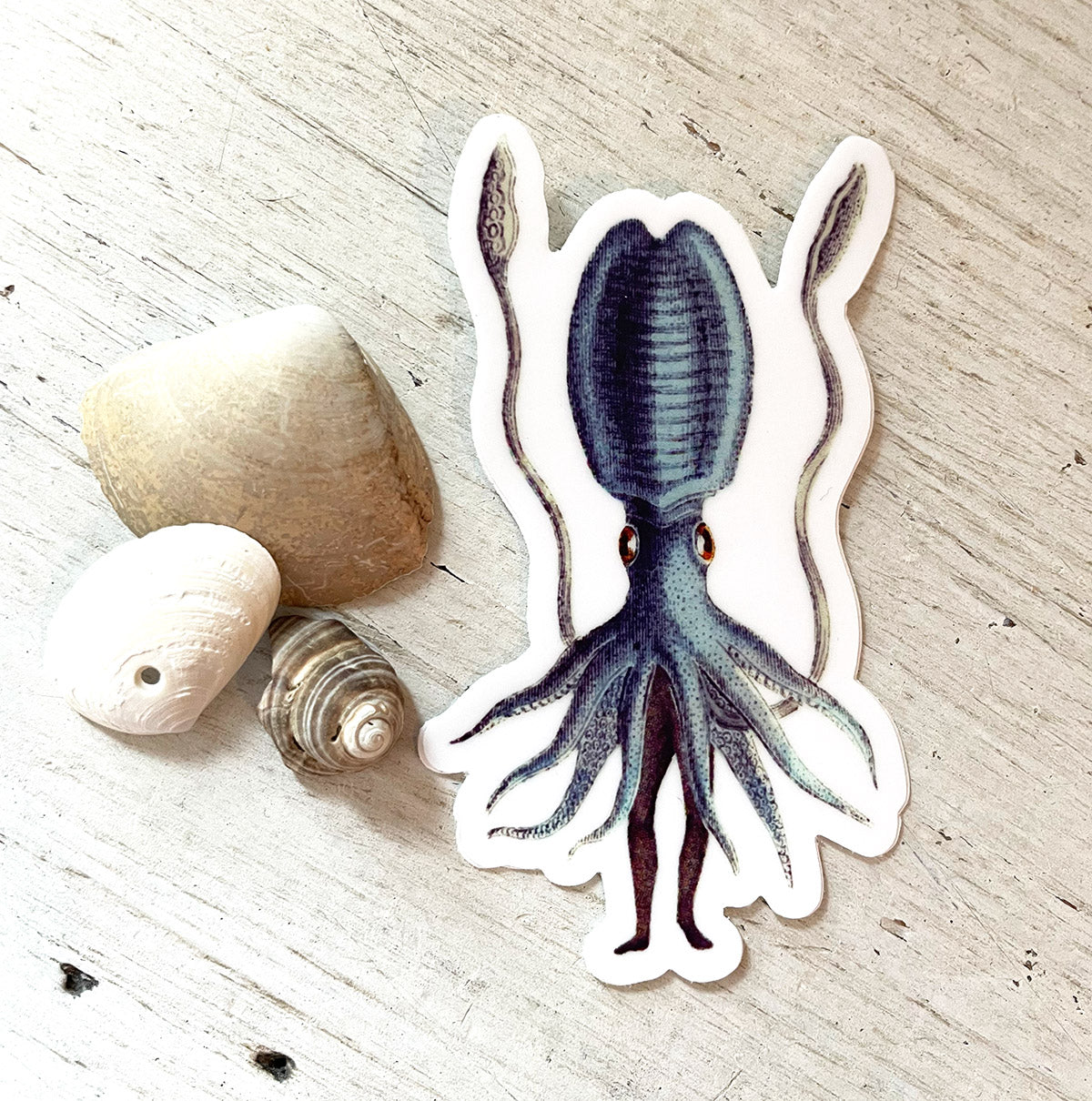 Squid Guy sticker